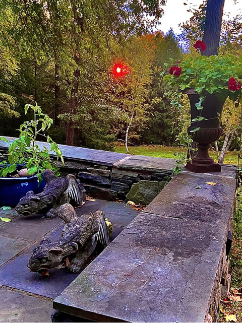 Patio Garden View