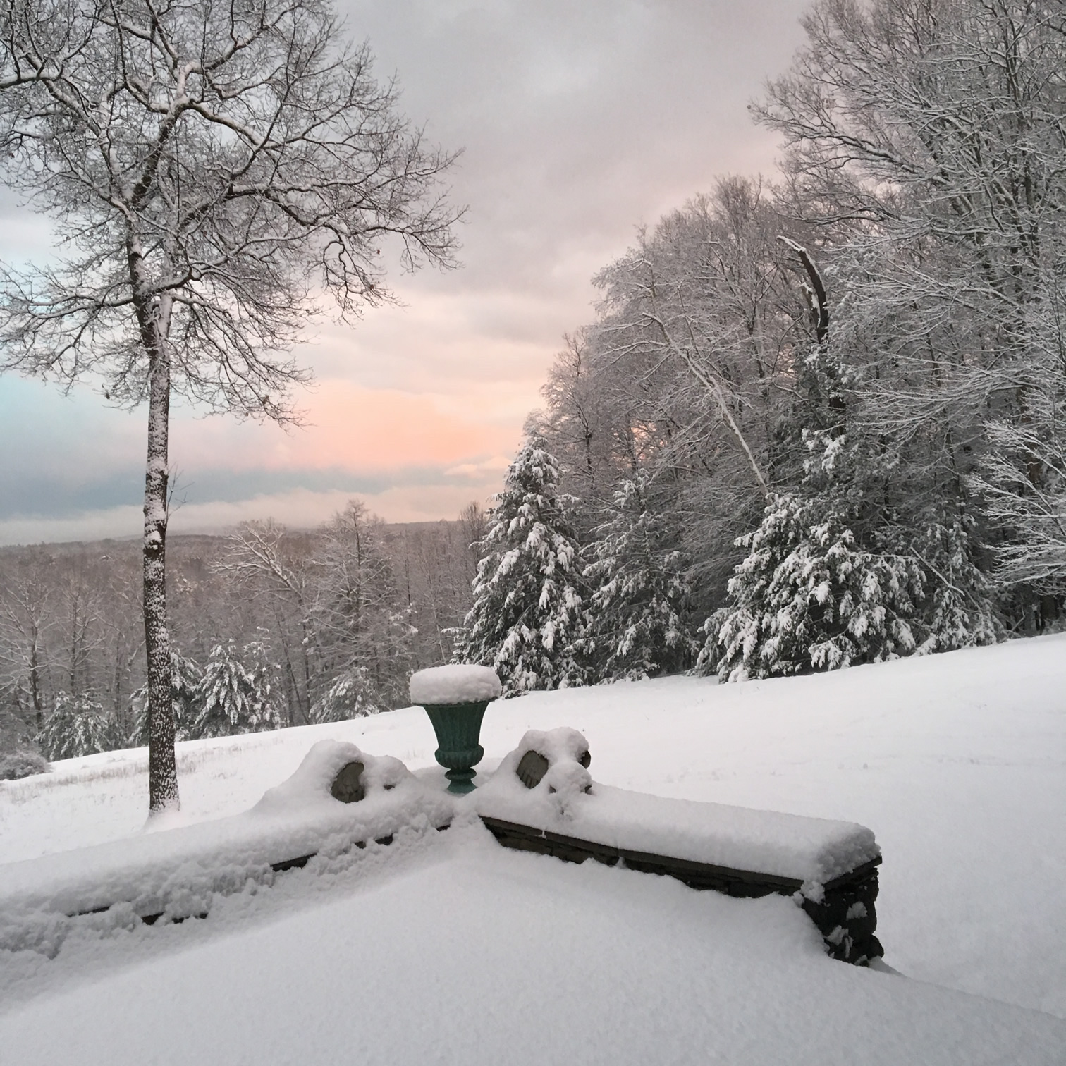 Winter from the terrace