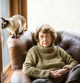 Author photo of Gail Godwin, sitting in a brown leather chair with a sealpoint cat.